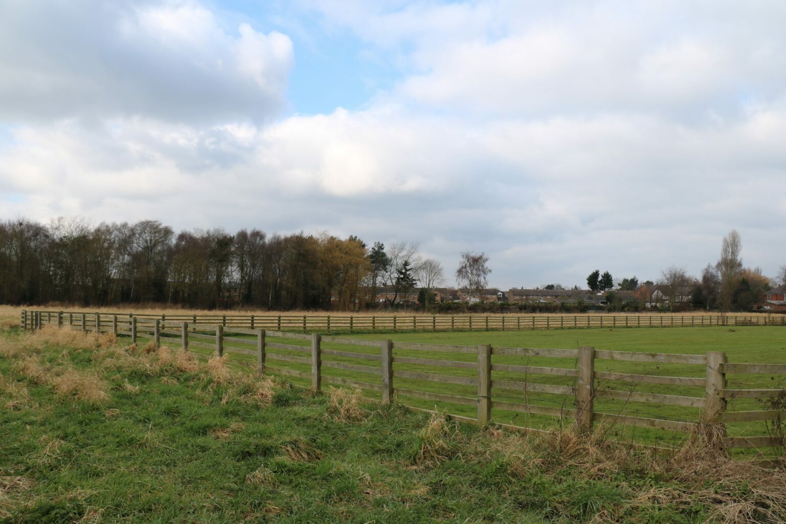 Westgate Road, Belton Marrons