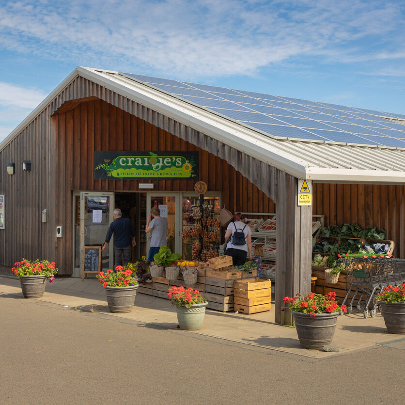 iStock-1425210964-farm-farm-shop